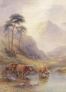 unknow artist Highland cattle in a stream Spain oil painting artist